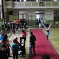 Pebor upy ve sportovn gymnastice - 2013